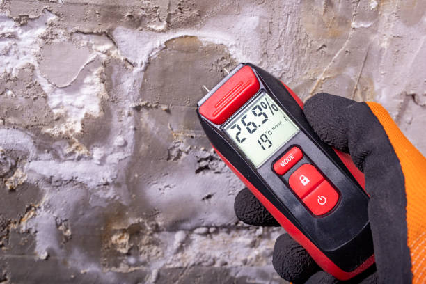 Professional Mold Removal in Oakland, TN