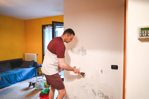 Best Mold Removal and Inspection  in Oakland, TN