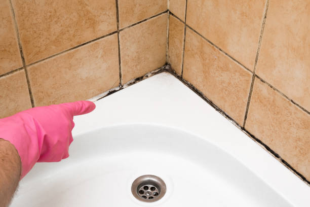 Best Crawl Space Mold Removal  in Oakland, TN